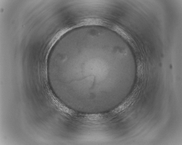 X0000071850836200607290130