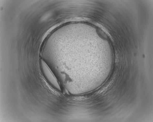 X0000071850837200607290130