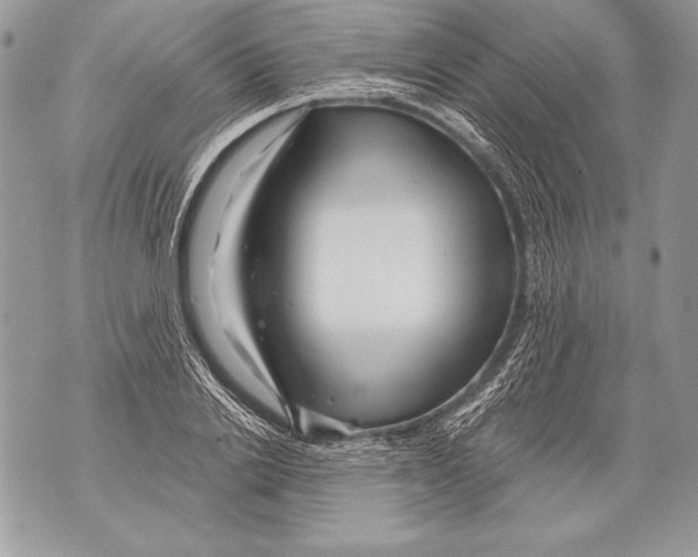 X0000071850838200607290130