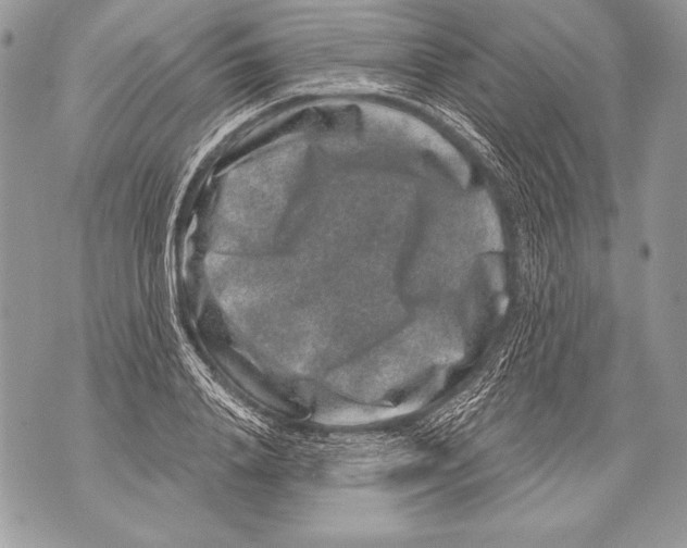 X0000071850840200607290130