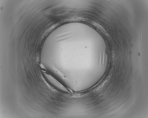 X0000071850841200607290130