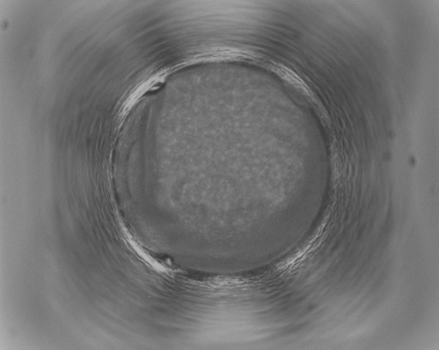 X0000071850842200607290130