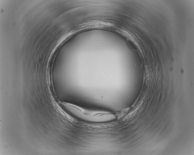 X0000071850843200607290130