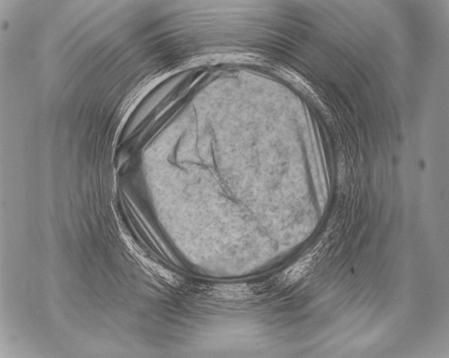 X0000071850844200607290130