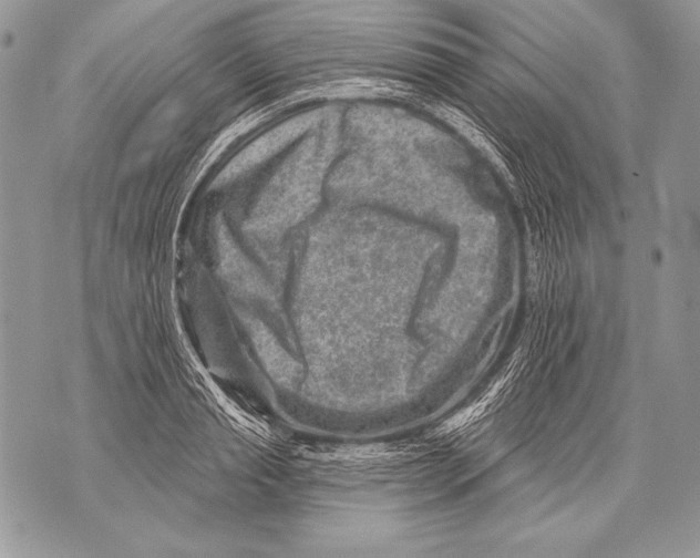 X0000071850845200607290130