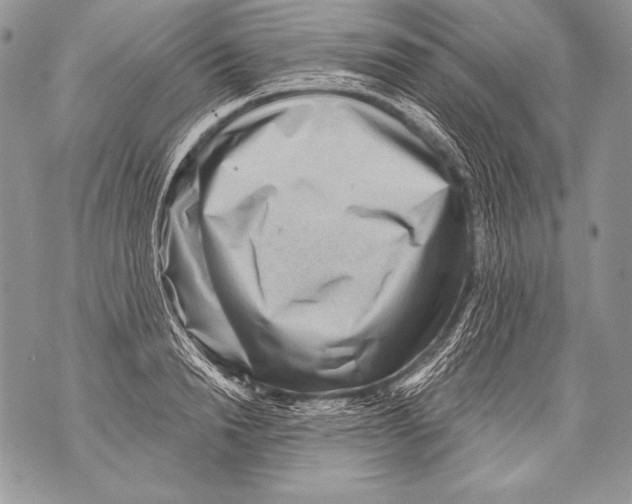 X0000071850846200607290130