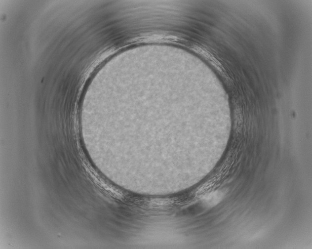 X0000071850848200607290130