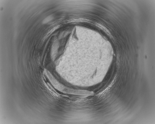 X0000071850849200607290130