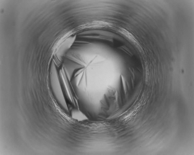 X0000071850850200607290130