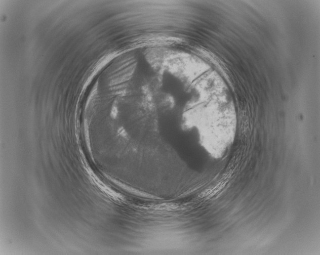 X0000071850851200607290130