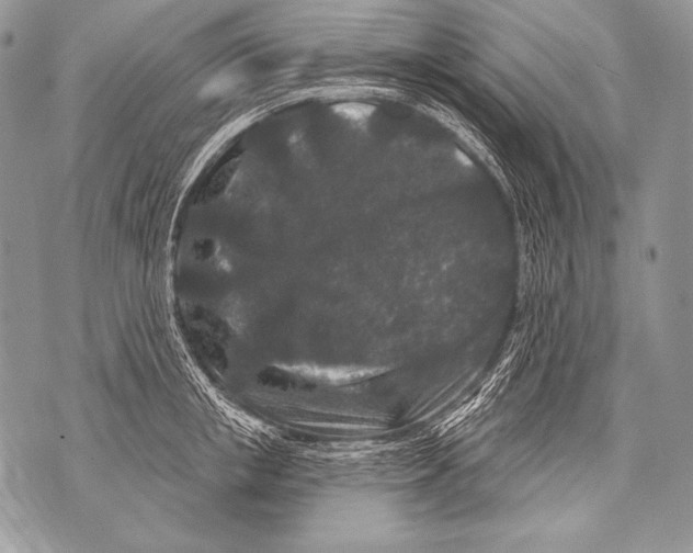 X0000071850853200607290131