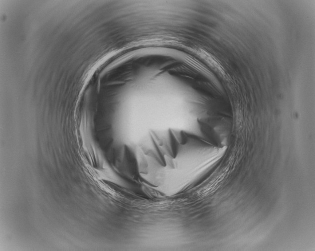 X0000071850854200607290131