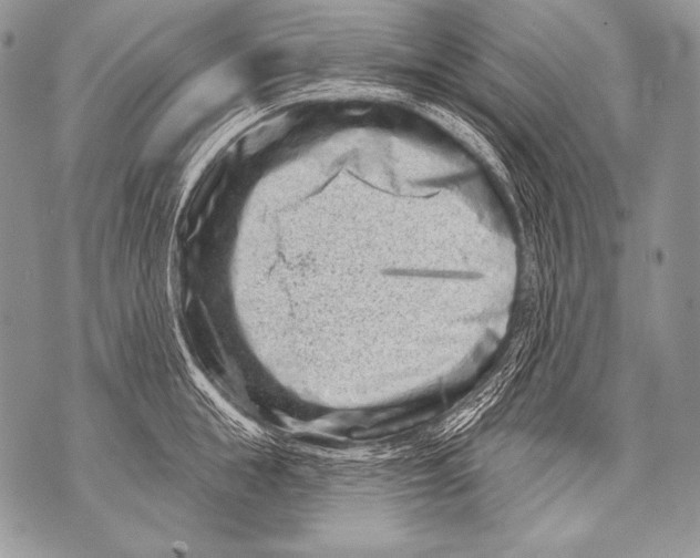 X0000071850855200607290131