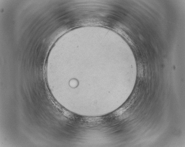 X0000071850856200607290131