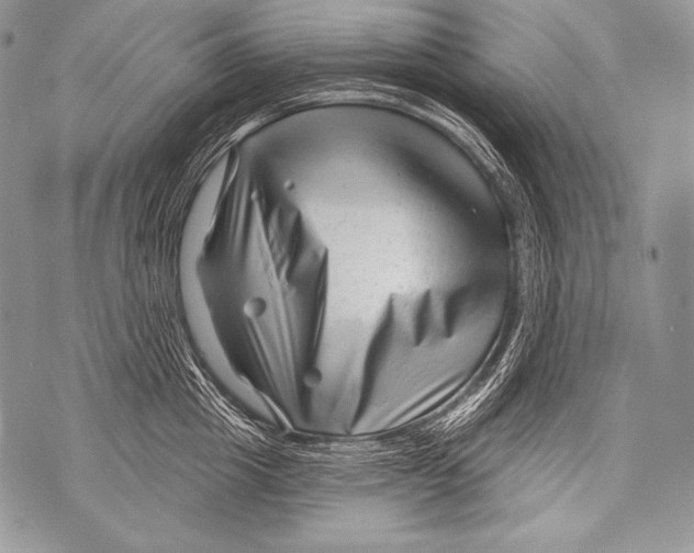 X0000071850857200607290131