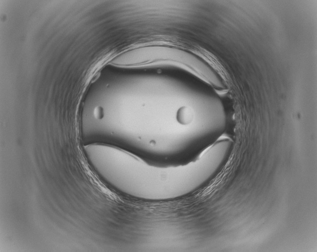 X0000071850858200607290131