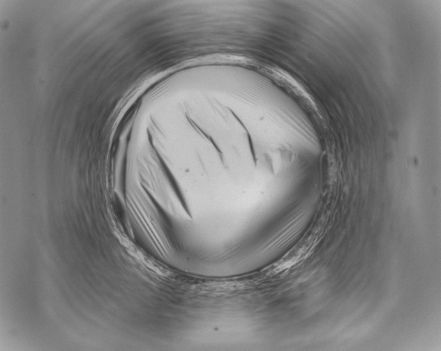 X0000071850860200607290131