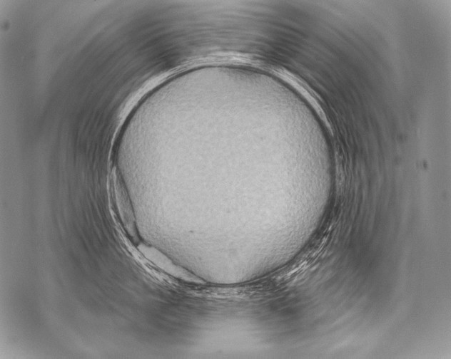 X0000071850861200607290131