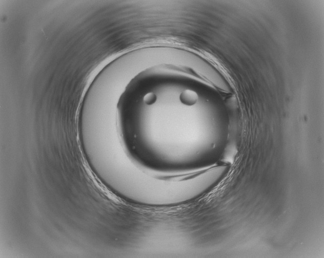 X0000071850862200607290131