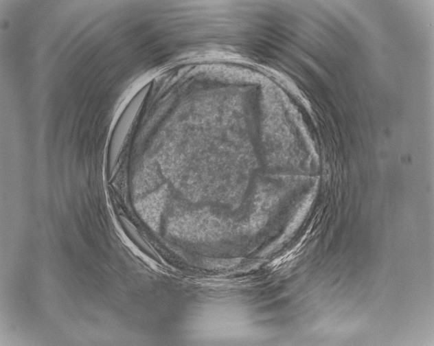 X0000071850863200607290131