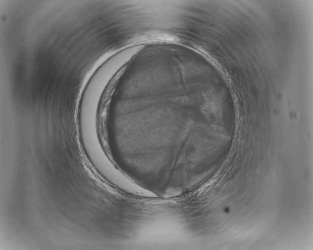 X0000071850864200607290131