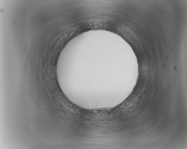 X0000071850865200607290130