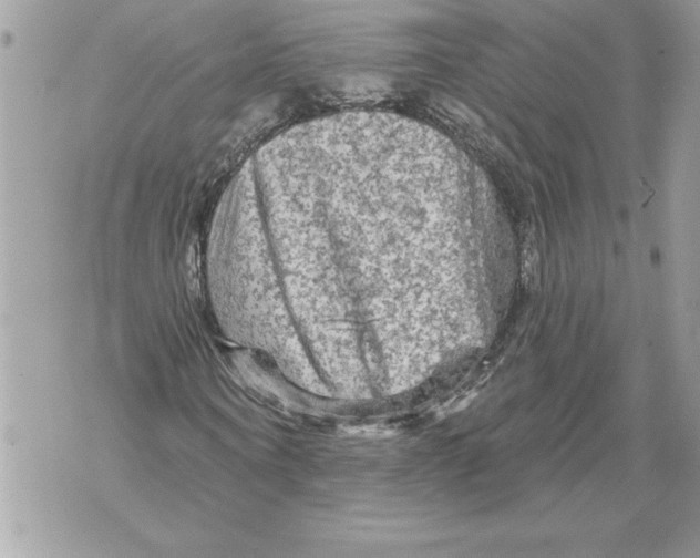 X0000071850866200607290130