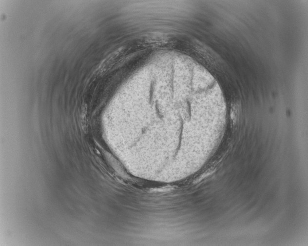 X0000071850867200607290130