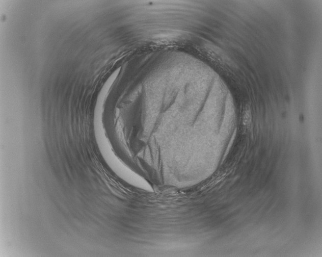 X0000071850868200607290130