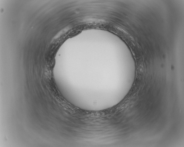 X0000071850869200607290130