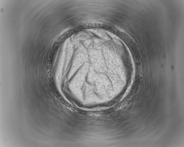 X0000071850870200607290130