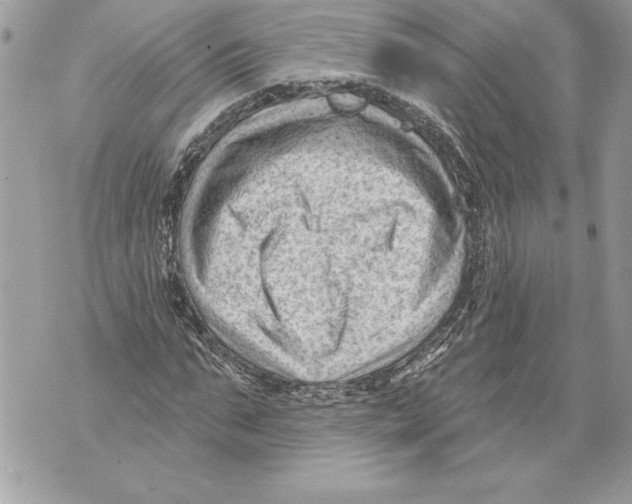 X0000071850871200607290130