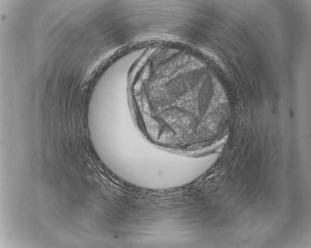 X0000071850872200607290130