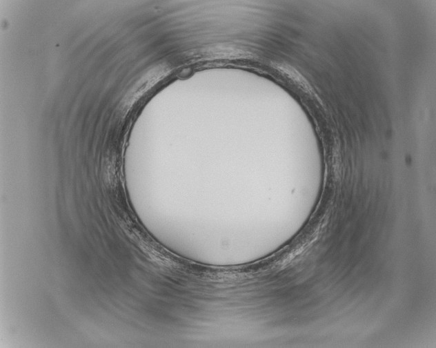 X0000071850873200607290130