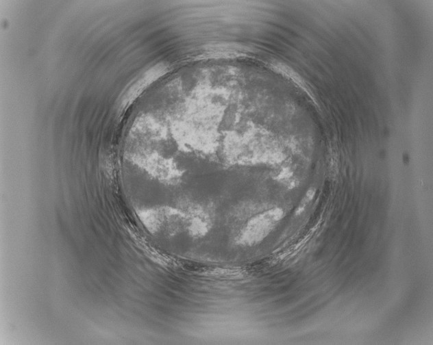 X0000071850874200607290130