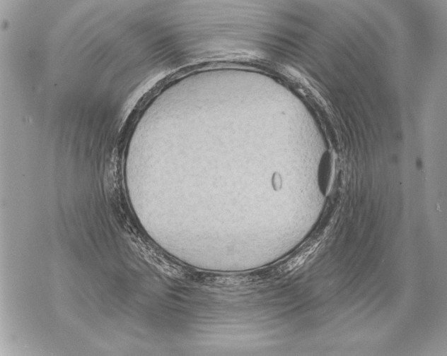 X0000071850875200607290130