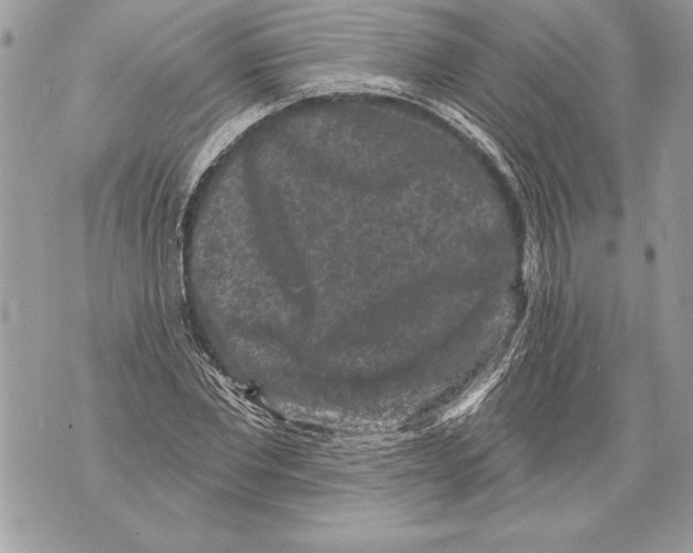 X0000071850877200607290130