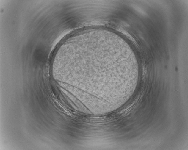 X0000071850878200607290130