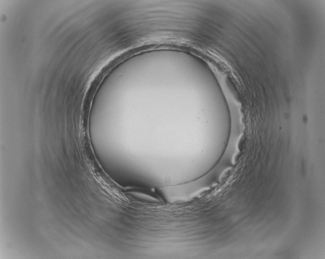 X0000071850880200607290130