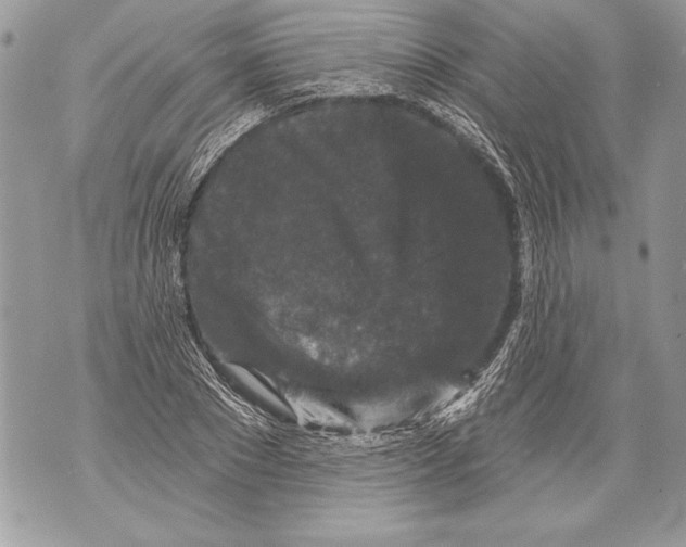 X0000071850881200607290130