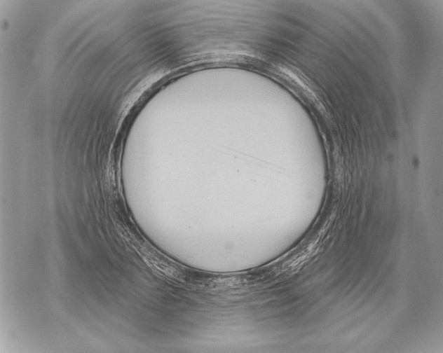 X0000071850883200607290130