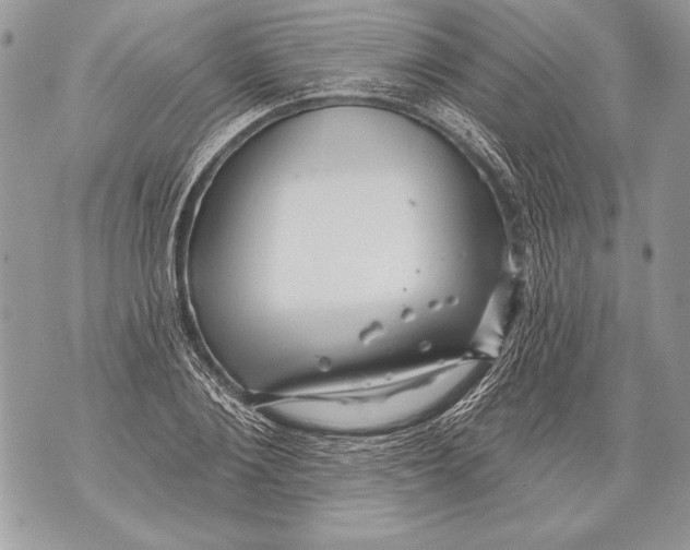 X0000071850884200607290130