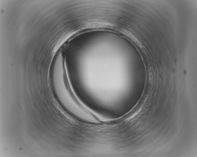 X0000071850885200607290130