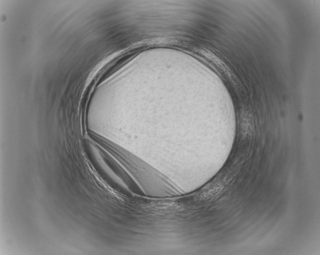 X0000071850886200607290130