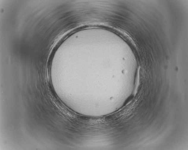 X0000071850887200607290130