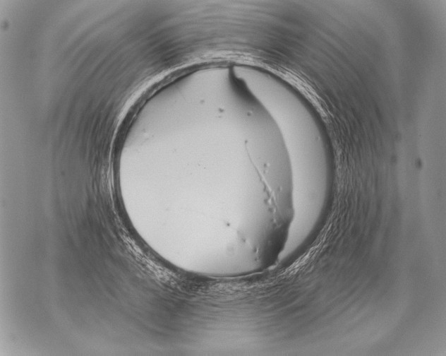 X0000071850888200607290130