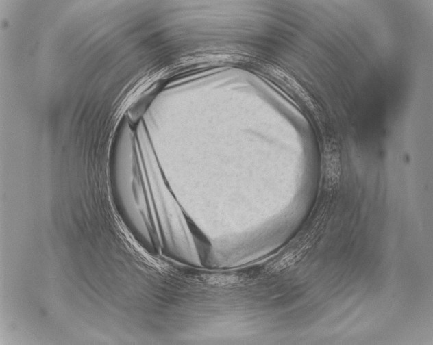 X0000071850890200607290130