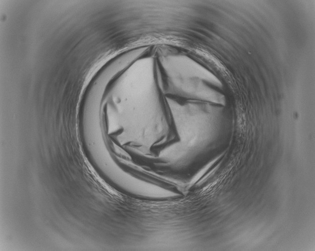 X0000071850894200607290129