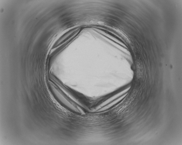 X0000071850895200607290129