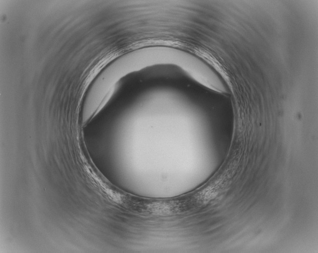 X0000071850898200607290129